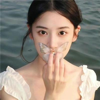 红狐